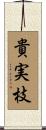 貴実枝 Scroll