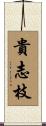 貴志枝 Scroll