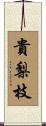 貴梨枝 Scroll