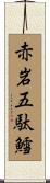 赤岩五駄鱈 Scroll
