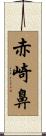 赤崎鼻 Scroll
