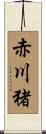 赤川猪 Scroll