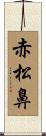 赤松鼻 Scroll