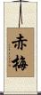 赤梅 Scroll