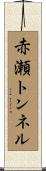赤瀬トンネル Scroll