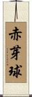 赤芽球 Scroll