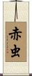 赤虫 Scroll