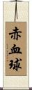 赤血球 Scroll