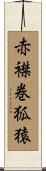赤襟巻狐猿 Scroll