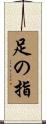 足の指 Scroll