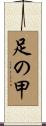 足の甲 Scroll