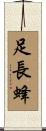 足長蜂 Scroll