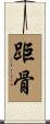 距骨 Scroll