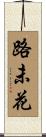 路未花 Scroll