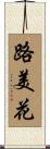 路美花 Scroll