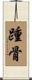 踵骨 Scroll