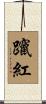 躥紅 Scroll