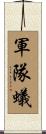 軍隊蟻 Scroll