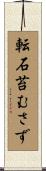 転石苔むさず Scroll
