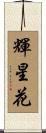 輝星花 Scroll