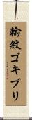 輪紋ゴキブリ Scroll