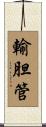 輸胆管 Scroll