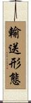 輸送形態 Scroll