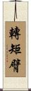 轉矩臂 Scroll