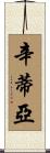 Cintia Scroll