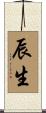 辰生 Scroll