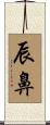 辰鼻 Scroll