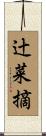 辻菜摘 Scroll