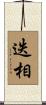 迭相 Scroll