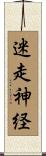 迷走神経 Scroll