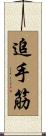 追手筋 Scroll