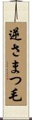 逆さまつ毛 Scroll