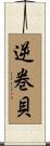 逆巻貝 Scroll