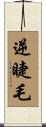 逆睫毛 Scroll