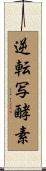 逆転写酵素 Scroll