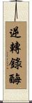 逆轉錄酶 Scroll