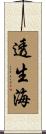透生海 Scroll