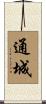 通城 Scroll