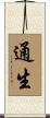 通生 Scroll
