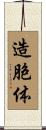 造胞体 Scroll