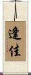 逢佳 Scroll