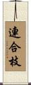 連合枝 Scroll