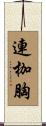 連枷胸 Scroll