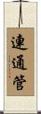 連通管 Scroll