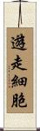 遊走細胞 Scroll