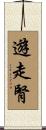 遊走腎 Scroll